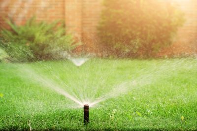 Sprinkler Blowout Cost Guide — Cost of Sprinkler Blowout
